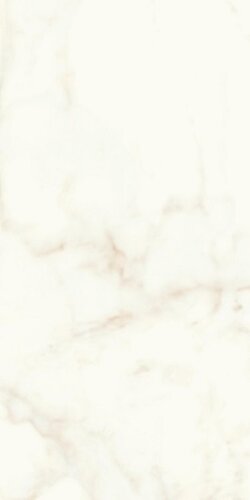 Marvel Calacatta Delicato 120x240 Lappato