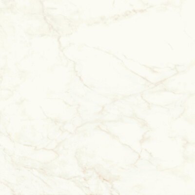 Marvel Calacatta Delicato 120x120 Matt