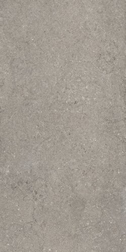 DISCOVER