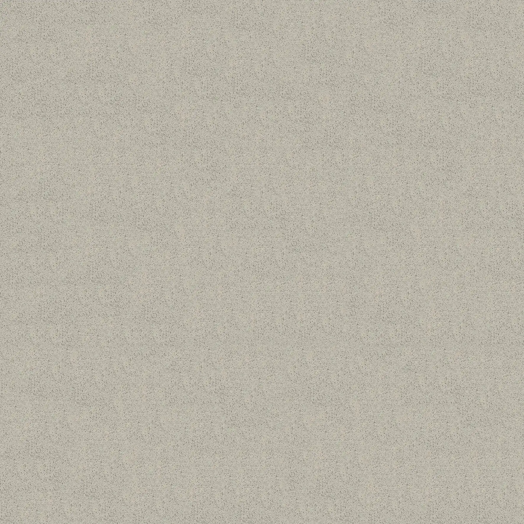 Basis 3