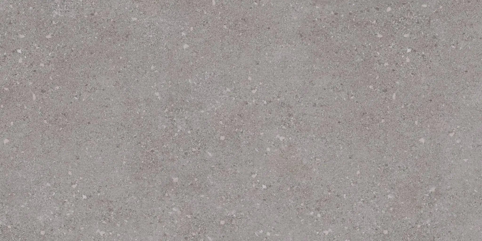 Basis Pro