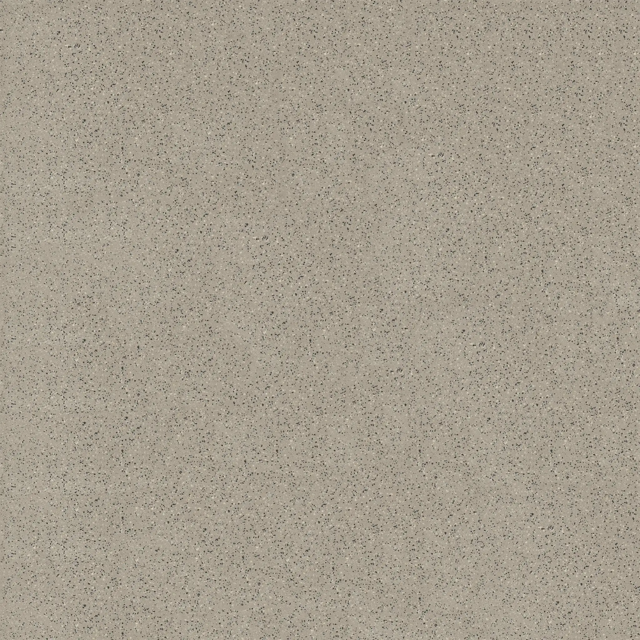 Basis 3