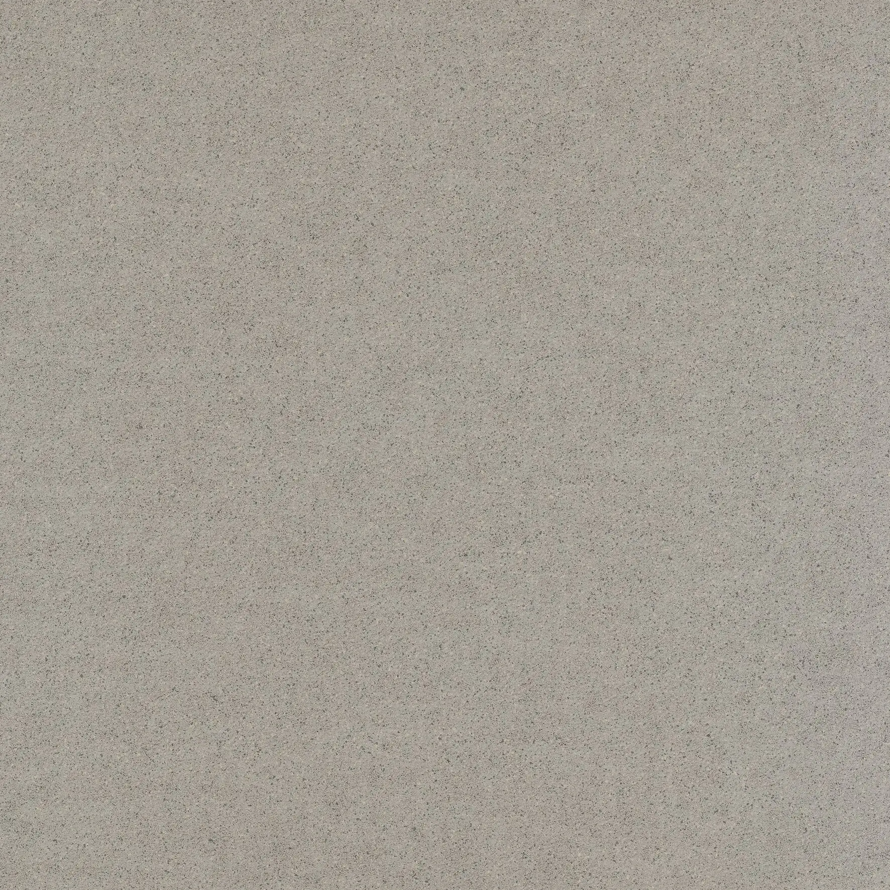Basis 3