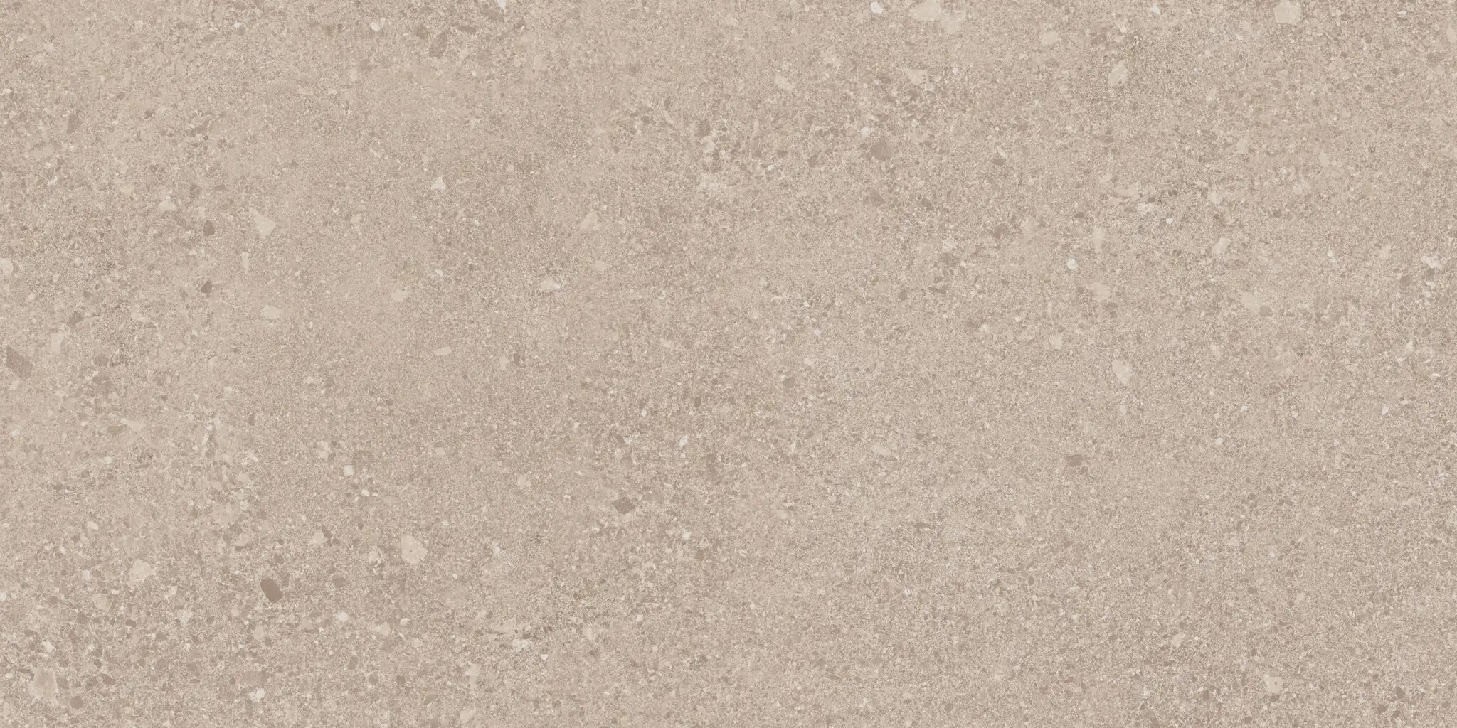 Basis Pro