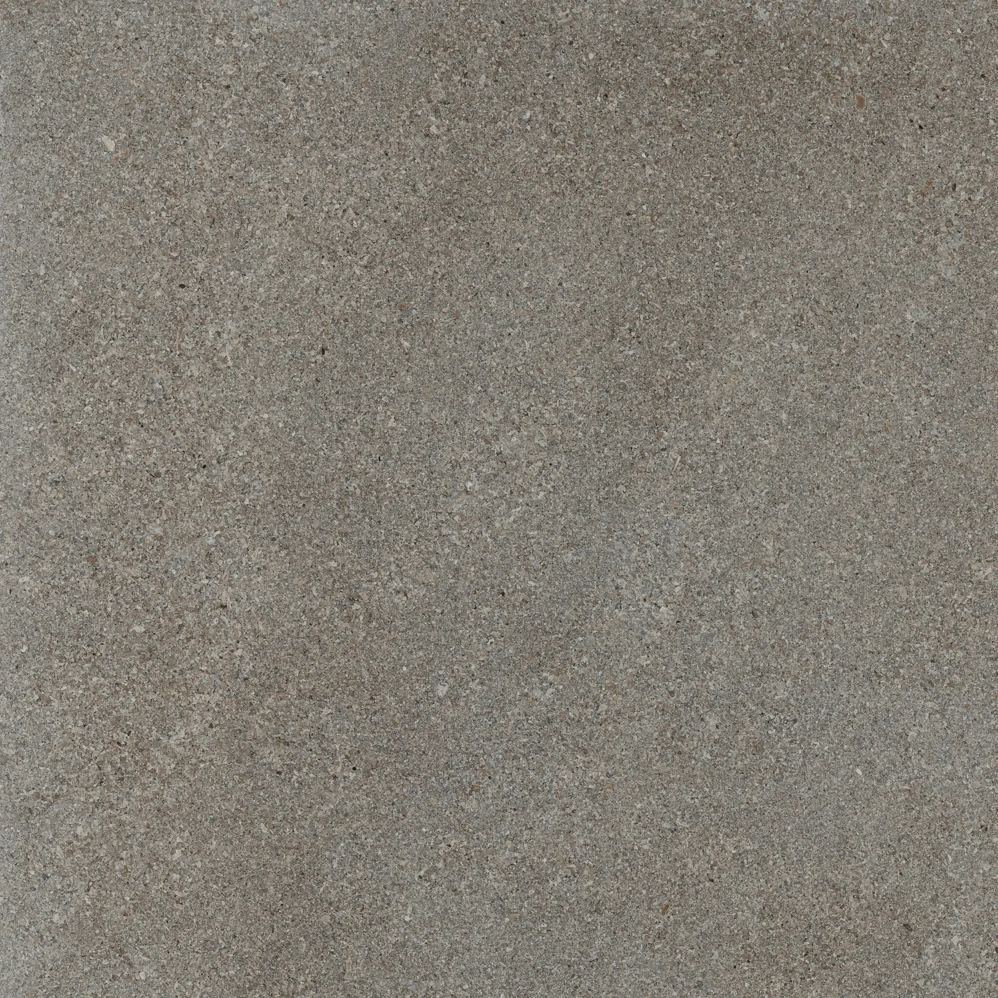 Area Pro