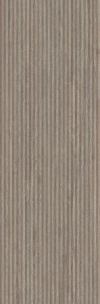 JACKSON TAUPE SP/33,3X100/R