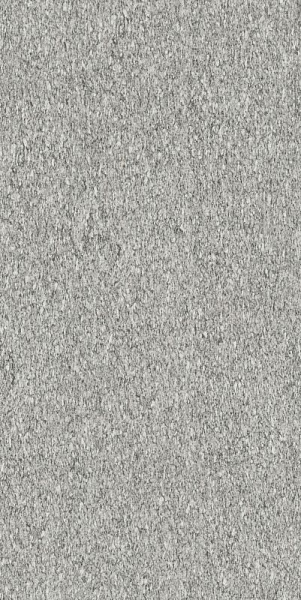 BIOTECH SERIZZO STONE NATURAL 60x120 RET