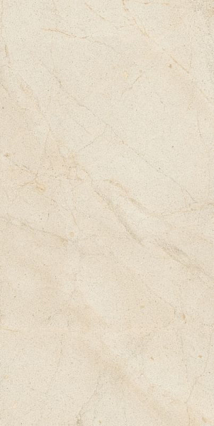 BIOTECH CREMA STONE GRIP 20MM 60x120 RET