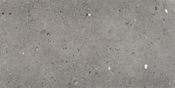 Ego Grigio Scuro 60x120