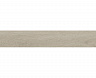 Керамогранит матовый Forest FOREST ARGENT 20x120 MATT