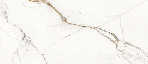 Unique Marble Paonazzetto Lappato 120x278