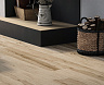 Керамогранит матовый Forest FOREST NATURAL 20x120 MATT