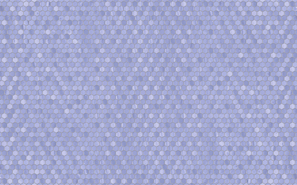 Лейла гол низ 03