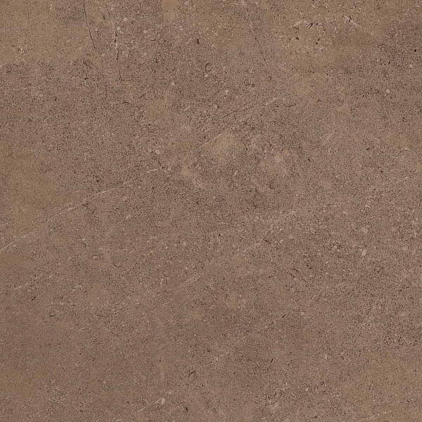 go02 60x60 непол.рект. (керамический гранит)